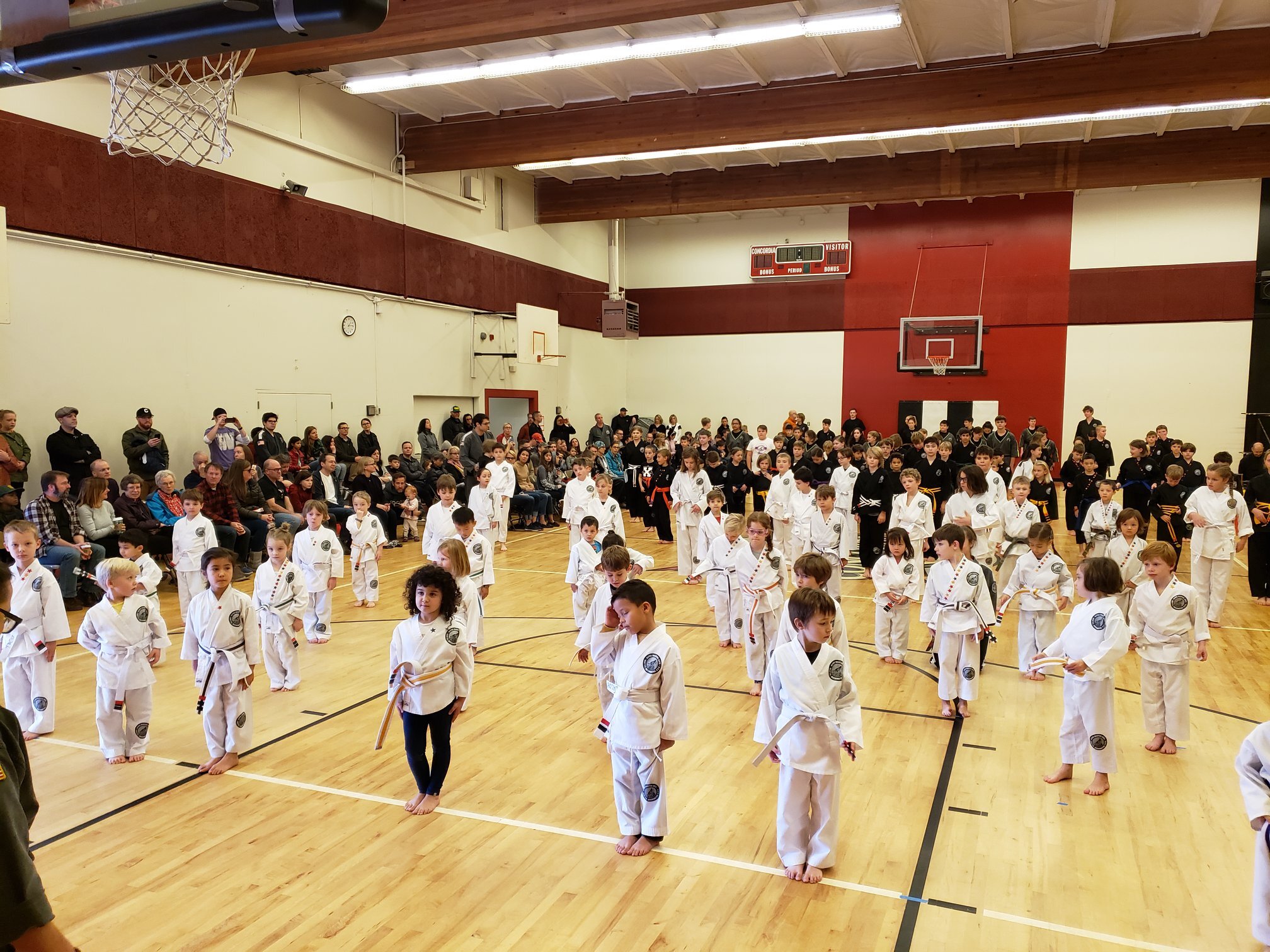 Alpha Martial Arts Summer Camp photo 1